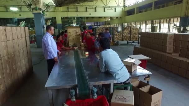 Bangalore Indien April 2016 Arbetstagargrupp Inom Tillverkning Tvålenhet Förpackning Och — Stockvideo