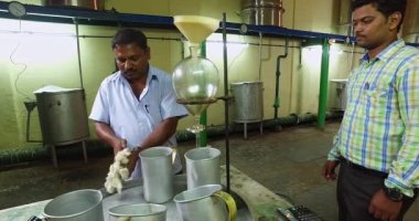 Mysore,India-June 20,2016:The process of oud oil distillation and extraction done by worker inside the factory