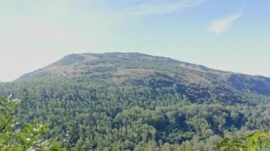 A beautiful view of green mountain with trees during sunny day