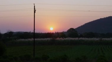 Wide view of farm, farmland, agriculture,sunset over farmland in a rural village in India