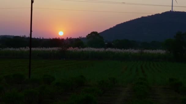 Wide View Farm Farmland Agriculture Sunset Farmland Rural Village India — Vídeos de Stock