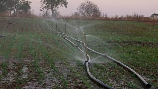 Wide View Agricultural Farmland Sprinkler Water Irrigation System Adapted Rural — Vídeo de Stock