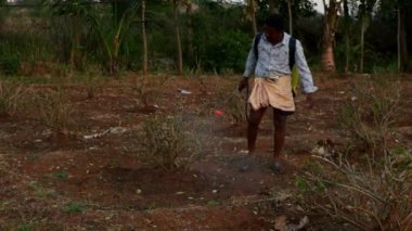 Vijayanagara,India-january 19,2023:Farmer spraying pesticides on jasmine plantation in field during sunset time