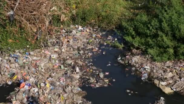 View Dirty Drainage Water Full Trash Indian Village Flowing Summer — 비디오
