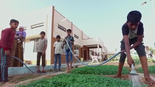 Кайвара Чиккабаллапура Индия Января 2017 Мальчик Поливает Зеленые Овощи Школьном — стоковое видео