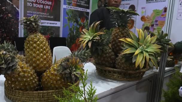 Bangalore India January 2023 Close Organic Pineapples Basket Displayed International — Vídeos de Stock