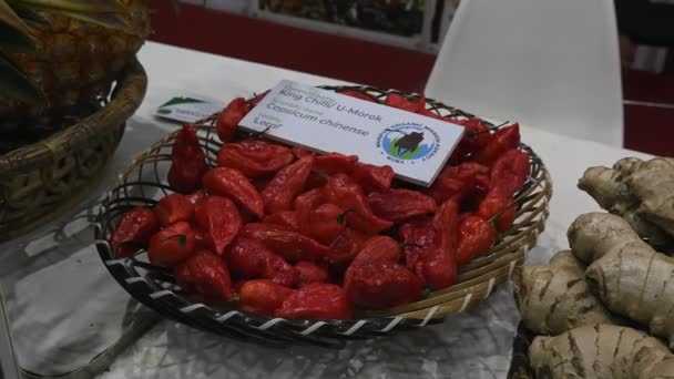 Bangalore India January 2023 Close Organic King Chilli Ghost Pepper — Video