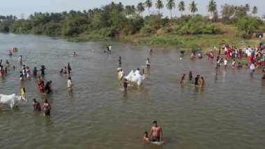 Vijayanagara,India-February 7,2023:An aerial view of people bathing in the large river's water during a Hindu religious festival karnikotsava(prophecy)