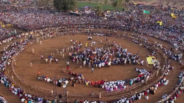 Виджаянагара Индия Февраля 2023 Вид Воздуха Массовую Толпу Собравшуюся Индуистском — стоковое видео