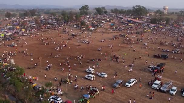 Vijayanagara India February 2023 Aerial View Farmland Crowds Camping Hindu — Stock video