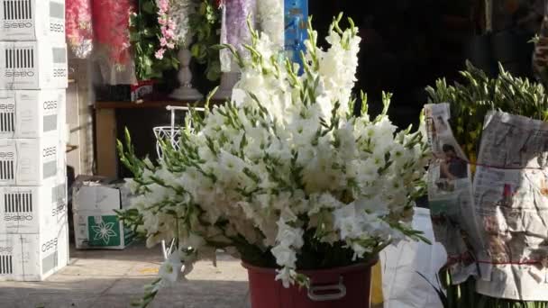 在花市上出售的一桶中一束块茎或超级大丽花的特写 — 图库视频影像