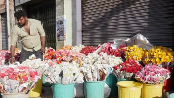 Bangalore India February 2023 Вид Правдивості Хризантеми Квіти Далії Відрах — стокове відео