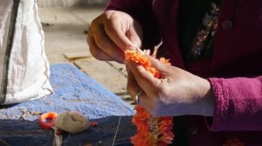 A close-up of a Hindu woman making a red crossandra garland with her hands at a roadside flower shop during a sunny day