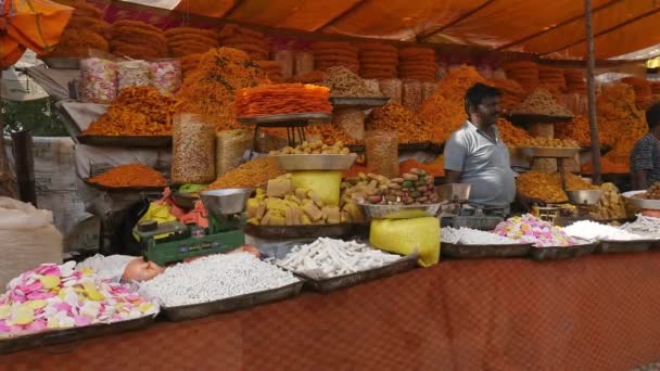 Vijayanagara India Febrero 2023 Una Amplia Variedad Dulces Aperitivos Exhibidos — Vídeos de Stock