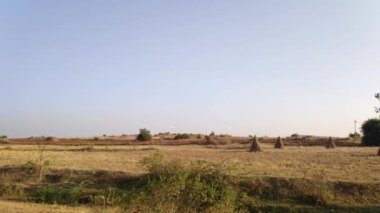 A peaceful view of vast and dry fields on a large land under a clear sky during summer on a sunny day