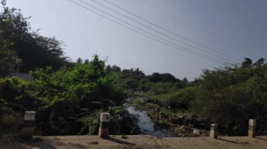 Closeup of large creek of dirty water flowing among trees and plants.small dirty drainage ditch at indian village