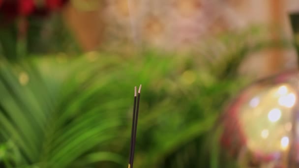Point View Incense Sticks Burning Green Background Religious Event — Video