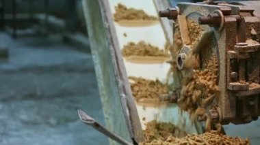 Closeup of a soap plodder machine and raw soap moving on conveyor during the process of soap manufacturing