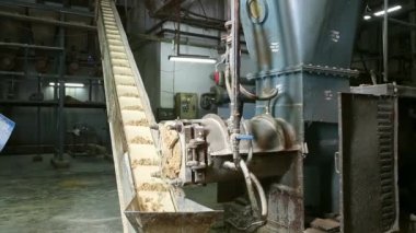 Closeup of a soap plodder machine and raw soap moving on conveyor during the process of soap manufacturing