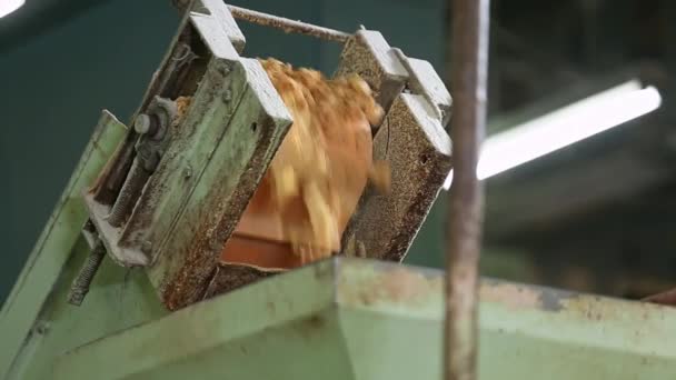 Closeup Raw Soap Material Being Dumped Conveyor Belt Grinder Soap — Stock Video