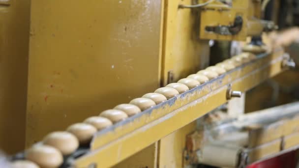 Close Stamped Shaped Soaps Moving Conveyor Belt Production Soaps — Wideo stockowe