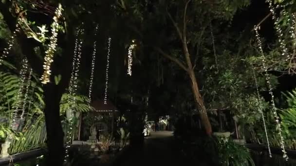 Nocny Widok Aranżacji Oświetlenia Drzewach Podczas Ślubu Koncepcja Dekoracji Małżeństwa — Wideo stockowe