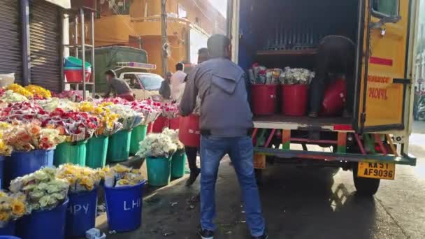 Bangalore India February 2023 Pohled Odrůdy Chryzantémy Květů Dahlia Které — Stock video