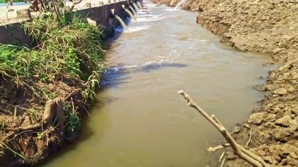 Patak Piszkos Víz Folyik Csövek Alatt Híd Kis Vízi Öntözés — Stock videók