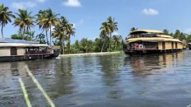 Yaz boyunca kerala 'nın arka sularında yan yana geçen yüzen yüzen evlerin sinematik görüntüsü.