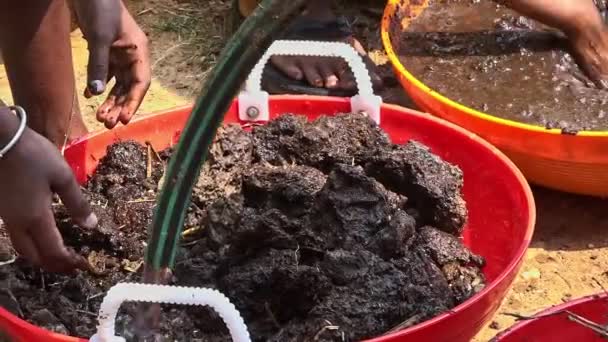 Tohum Toplarının Hazırlanması Için Toprak Gübre Inek Dışkısını Suyla Karıştıran — Stok video