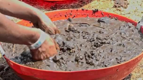 肥沃な土壌と堆肥をプラスチック容器内の水と混合して種子ボールを準備する裸の手の閉鎖 — ストック動画