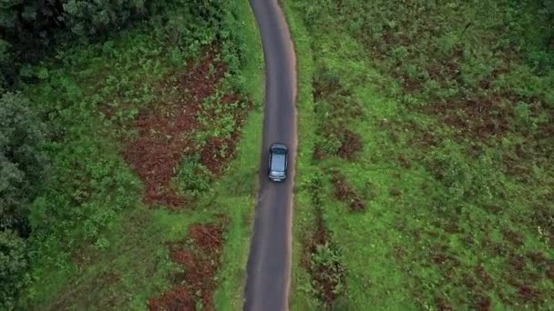 Vue Aérienne Suivi Cinématographique Une Voiture Conduisant Dans Une Jungle — Video