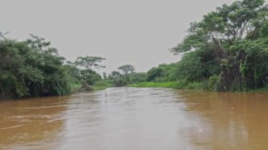 Yağmurlu bir günde taşan bir nehirdeki sel suyunun geniş bir görüntüsü. Taşan sel suyu. Yağmurlu mevsimler.