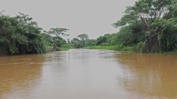 Pemandangan Luas Air Banjir Sungai Yang Meluap Pada Hari Hujan — Stok Video