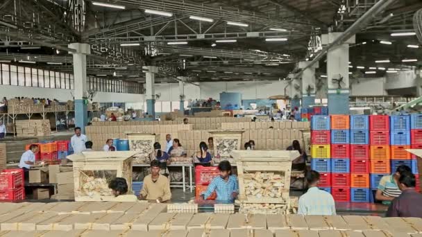 Бангалор Індія Квітень 2016 Широкий Випуск Індійських Робітників Виробничій Лінії — стокове відео