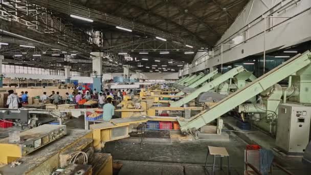 インド バンガロール2016年4月6日 石鹸スタンピングまたは石鹸成形機の広い視野 生産ラインの労働者 石鹸作り 石鹸製造工程 — ストック動画