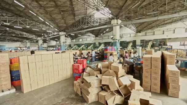 Бангалор Індія Квітень 2016 Широкий Випуск Індійських Робітників Виробничій Лінії — стокове відео