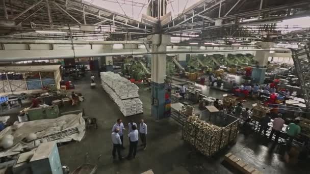 Bangalore Hindistan Nisan 2016 Bir Sabun Fabrikasının Üretim Hattındaki Hintli — Stok video