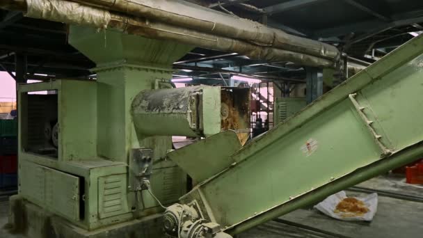 Pohled Plahočící Stroj Uvnitř Továrny Mýdlo Stroje Výrobu Mýdla Továrna — Stock video