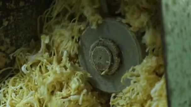 Una Máquina Plodder Vacío Que Refina Fabrica Pellets Jabón Fideos — Vídeos de Stock