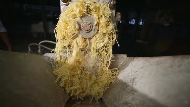 Maszyna Plodowania Próżniowego Która Rafinuje Wytwarza Granulki Mydlane Lub Makaron — Wideo stockowe