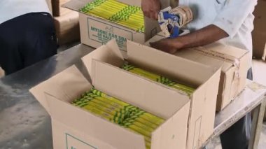 Bangalore, Hindistan-12 Mayıs 2016: Fabrikada dağıtım için sabunları karton kutularda paketleyen işçilerin kapatılması. paketleme ve sıralama.