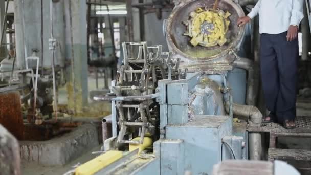 Widok Makaronu Mydlanego Przerobionego Batoniki Mydlane Przez Maszynę Plodderową Produkcja — Wideo stockowe