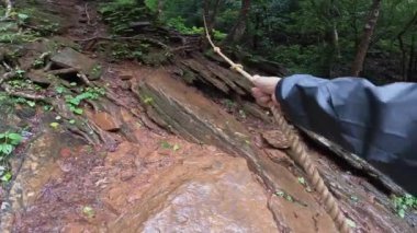 Ormanın ortasında ipi tutarak ıslak kayalara tırmanan bir adamın yakın çekimi. Ormanda macera. ilham verici etkinlik