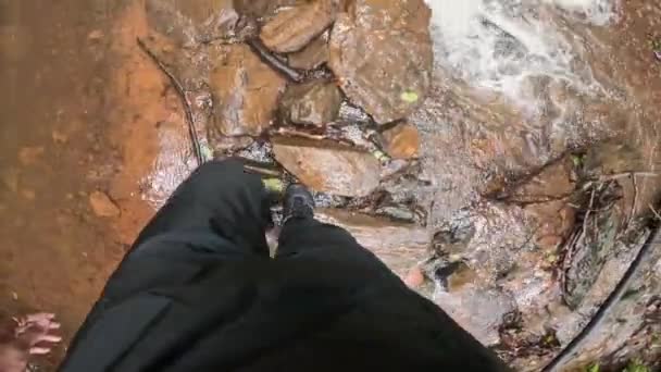 Человек Путешествующий Путешествующий Лесу Пересекает Небольшой Ручей Воды Приключение Лесу — стоковое видео