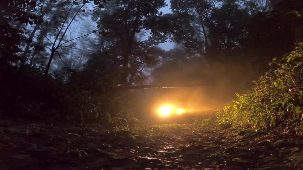 Pohled Auto Uvízlé Džungli Noci Zatímco Strom Spadl Silnici Během — Stock video