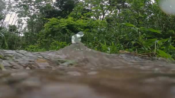 Hindistan Batısındaki Ghatlarda Yağmurlu Bir Günde Yemyeşil Ormandan Akan Küçük — Stok video