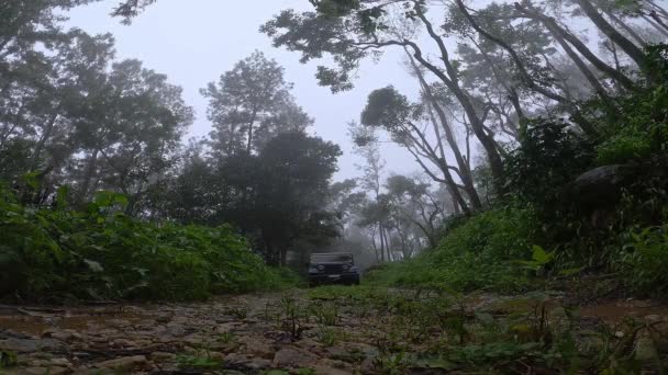 Shivamogga India Augusti 2021 Filmisk Låg Vinkel Syn Jeep Passerar — Stockvideo