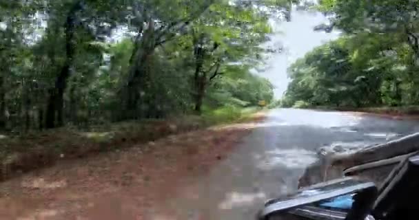 Een Video Van Het Rijden Door Western Ghat Forest Road — Stockvideo