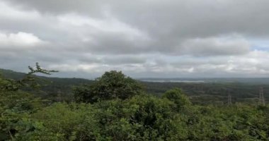 Bulutlu bir günde tepenin tepesinden yemyeşil yoğun ormanın manzaralı bir manzarası.